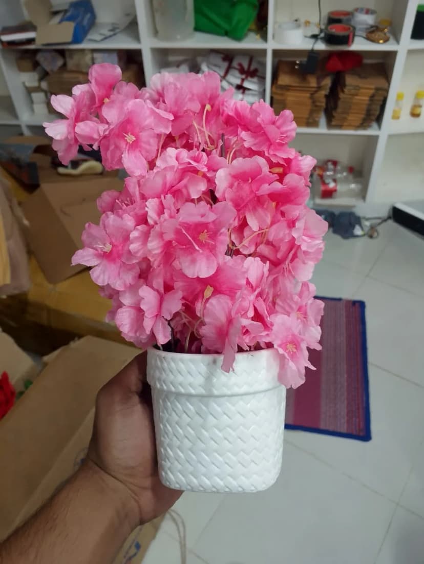 Bagan Bilash Garden Beauty Flower Decorative Piece for Outdoor Planting