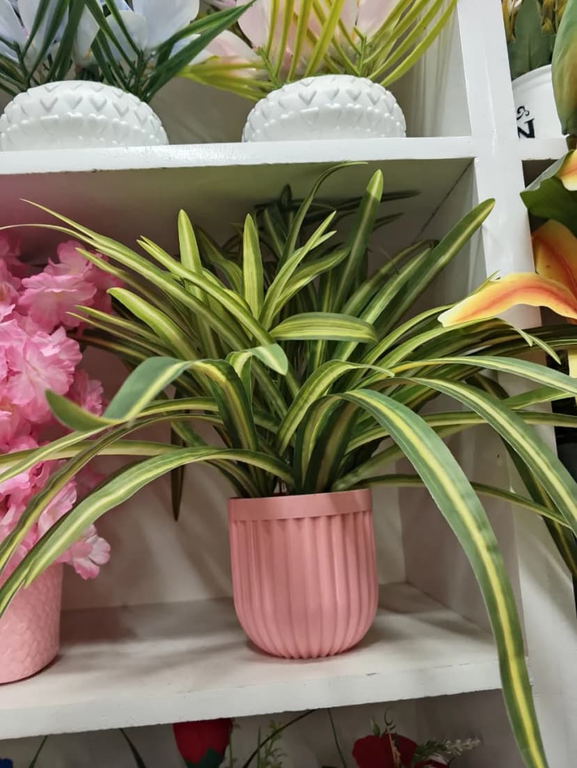 Spider Flower Unique Artificial Bloom with Long Petals for Modern Decor