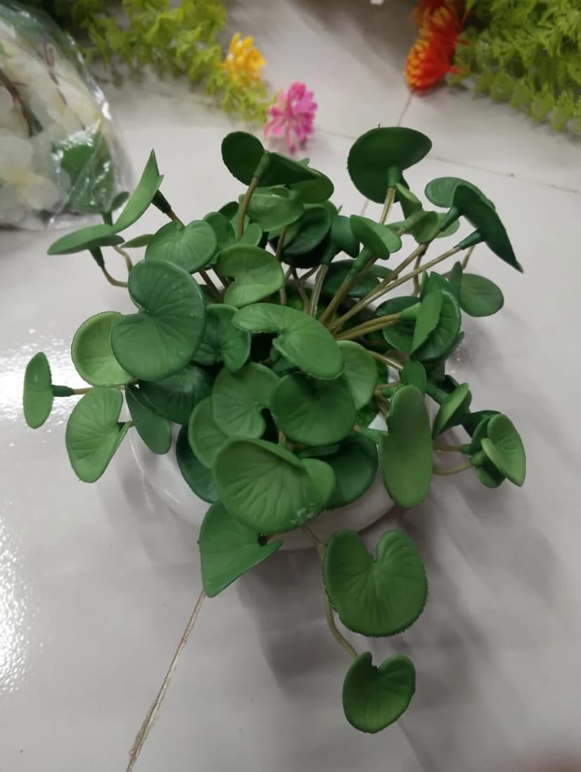 Coin Pata Artificial Leaf Decorative Piece with Unique Round Coin Shaped Leaves